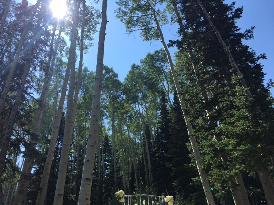 14055135_10207000722513302_3274336016590960257_n