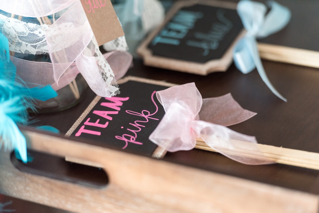 Kristina-Gender-Reveal-10