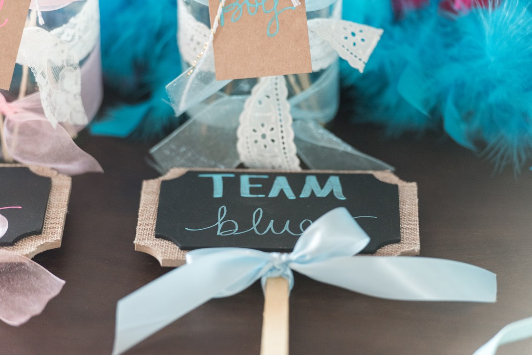 Kristina-Gender-Reveal-11